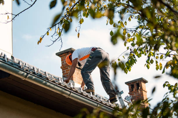 Roof Gutter Cleaning in Bon Aqua Junction, TN